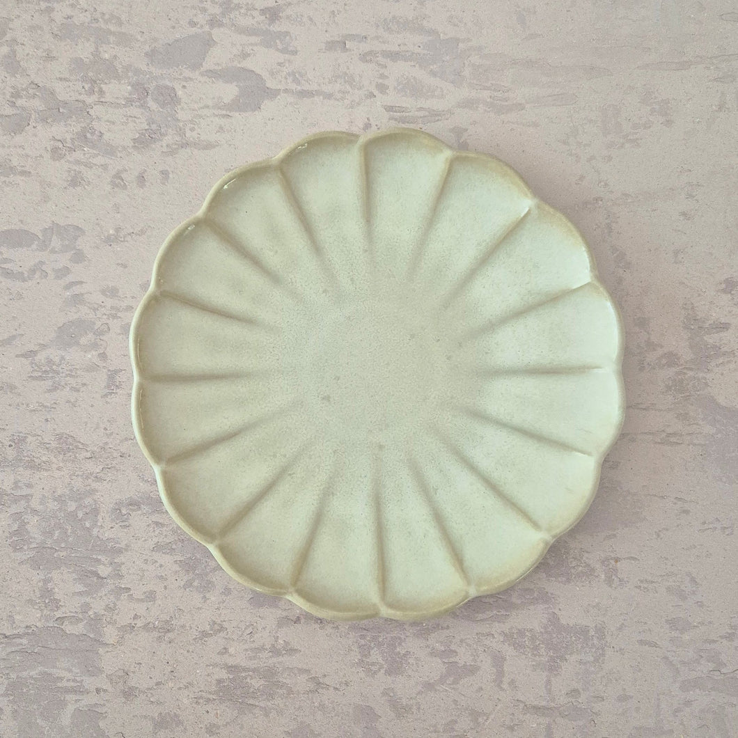 Teller klein Seashell